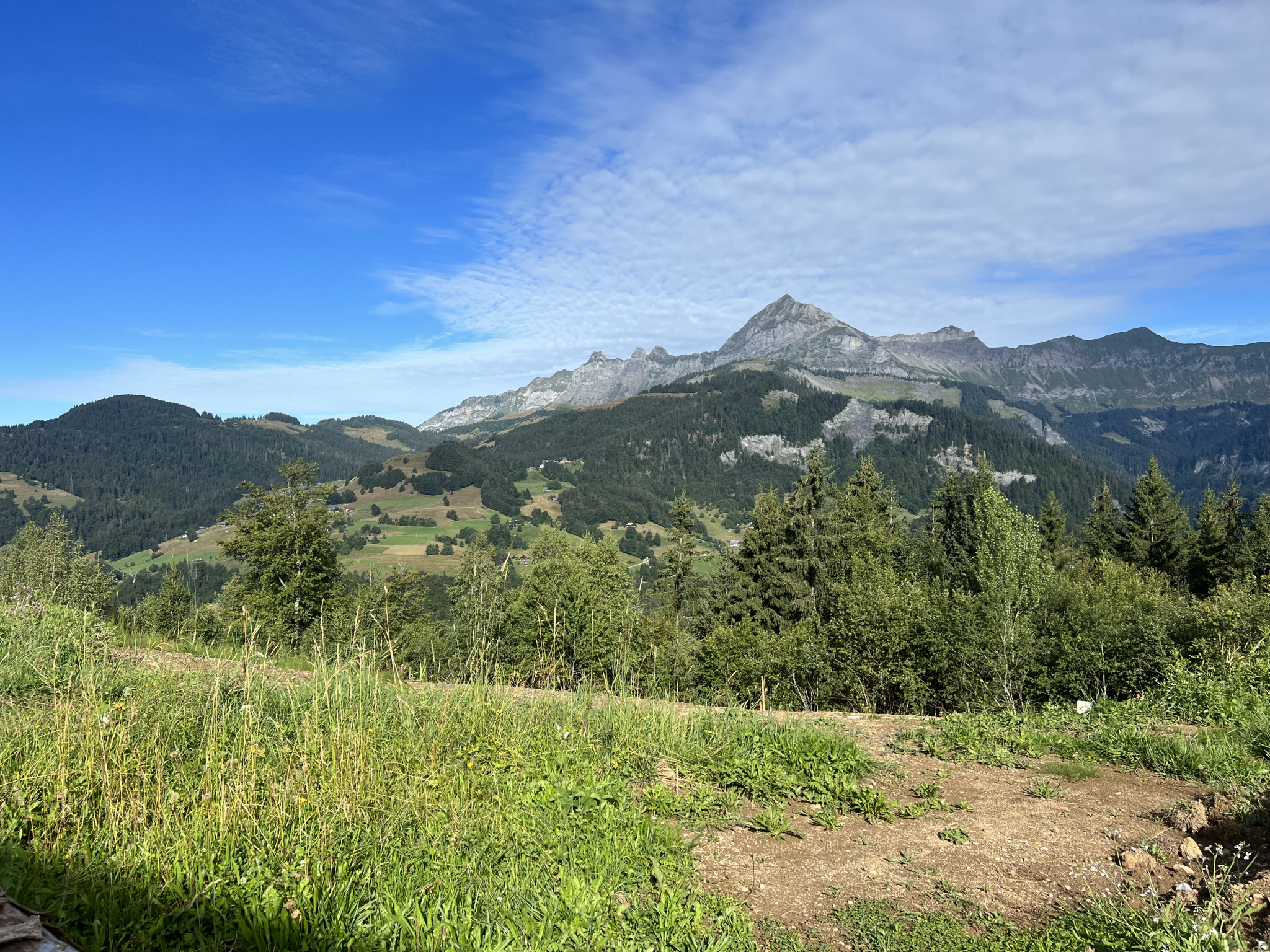 Photo of Crest-Voland/Cohennoz - Plot of land with building permit - Chalet No6.